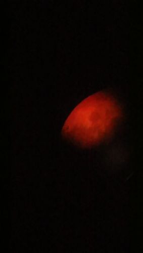 DSC_0435.JPG