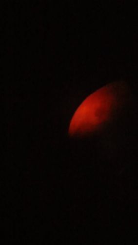 DSC_0436.JPG