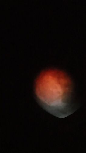 DSC_0438.JPG