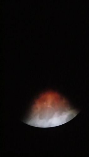 DSC_0439.JPG