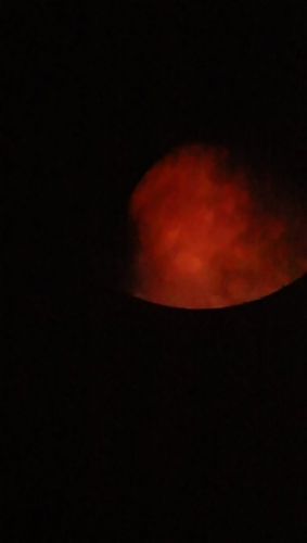 DSC_0441.JPG
