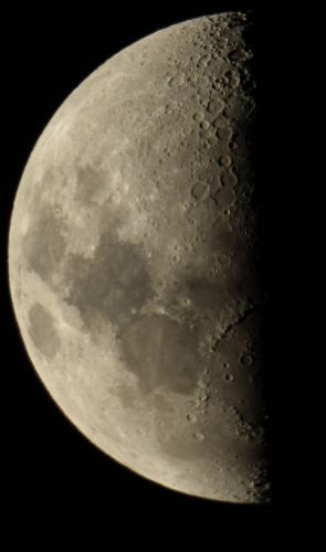 Luna_12022019.JPG