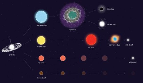 Stellar_evolution_article_mob.jpg