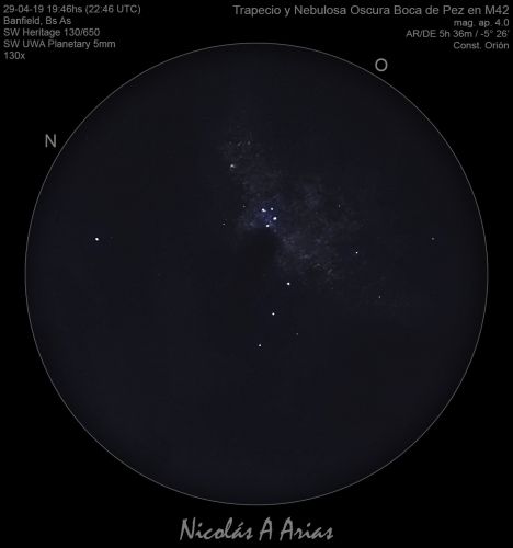 NebulosaOscuraBocaDePezM42_20190429.thumb.jpg.76857df8f7c4d30237d3f32c9706d0d4.jpg