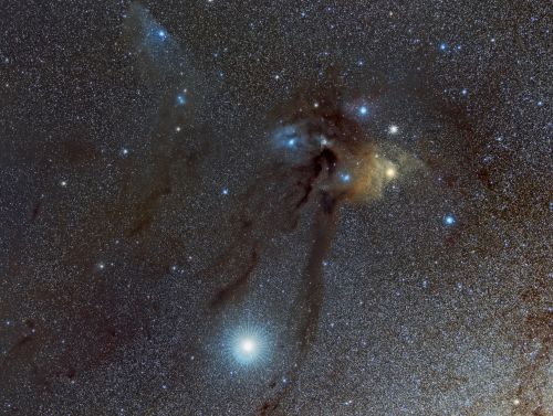 IC 4604 Rho Ophiuci - ND5100 +SA -  Salinas Cordoba - 03-08-19.jpg
