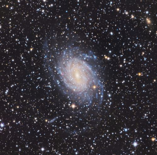 NGC 6744 - LRGB crop S copia.jpg
