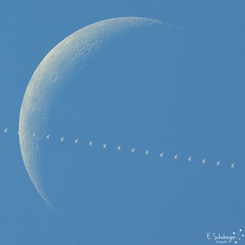 Transito-ISS-Luna-02-09-19.jpg