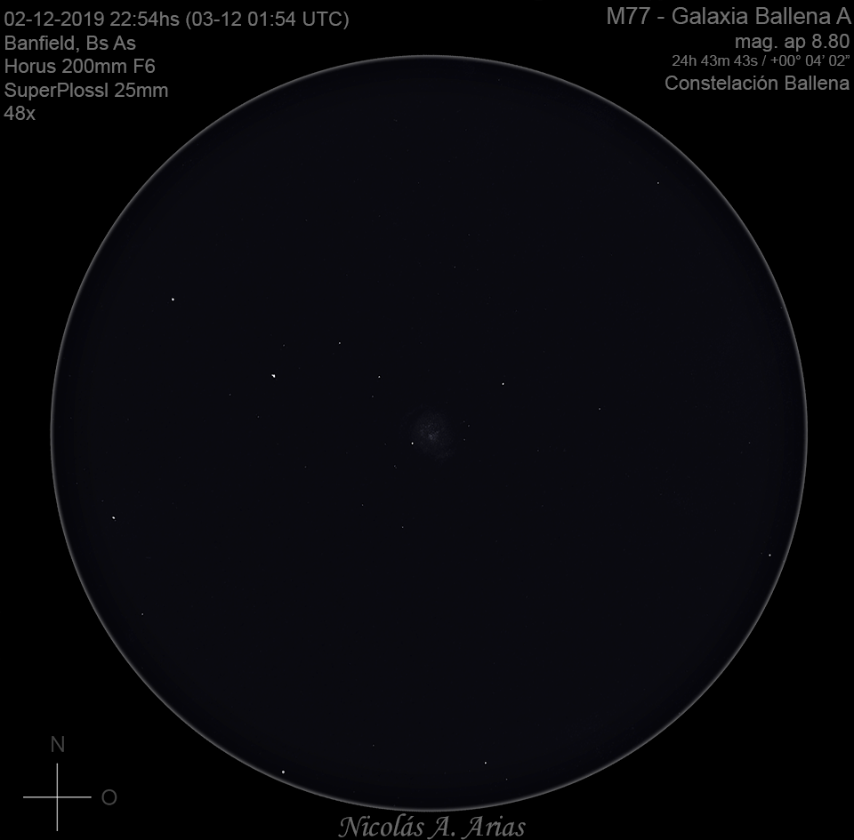 M77-Ballena-A-2-12-2019-48x-690web.png.e9e5613a8aeac0634ec181b3c83f9a06.png