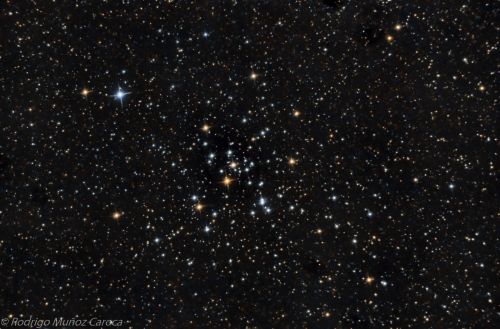 m41 (2)-3.jpg