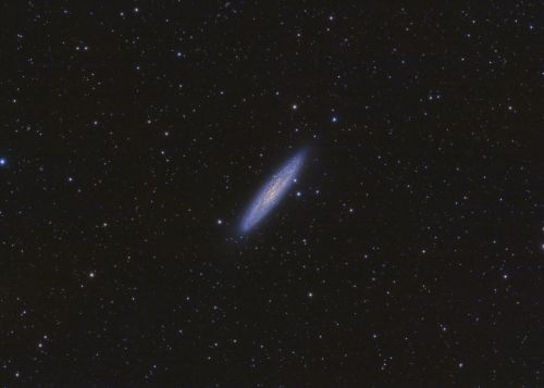1963017890_GalaxiaMonedadePlata(NGC253).thumb.jpg.1358668fba0a09a80a777ac319b6c8b4.jpg