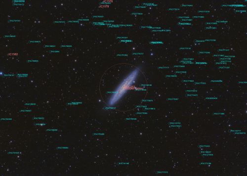239714213_GalaxiaMonedadePlata(NGC253)anotada.thumb.jpg.554a676cf5da6ec4aa0863d6bd553ee4.jpg