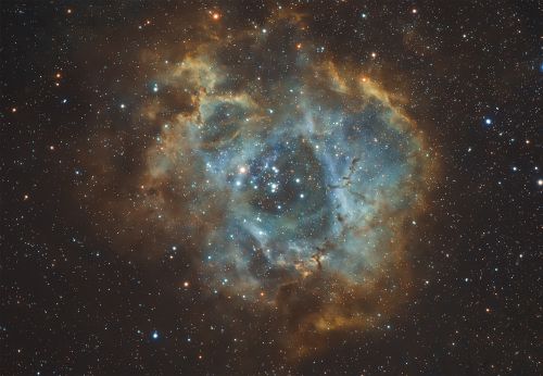 Rosette_HubblePalette.thumb.jpg.17e7a9de49942e3cc9ba822fa14ec1ee.jpg