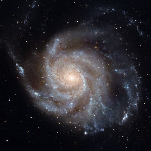 september-18-2019-pinwheel-galaxy.jpg