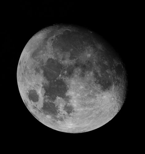 luna x2.jpg