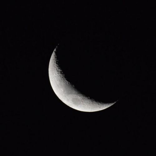 Luna1.thumb.jpg.1157f16d465c7b25b1a6c8fc5ef9f637.jpg