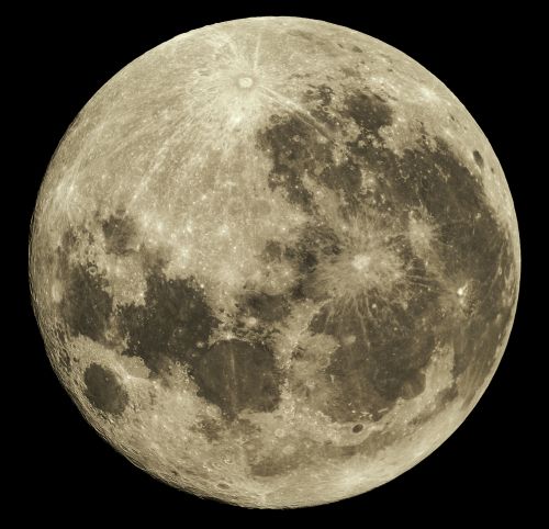Luna light.jpg
