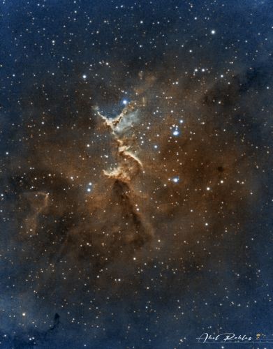 Melotte15 SHO C8 EdgeH Astrofotografía A.R.B.-Stars (1).jpg