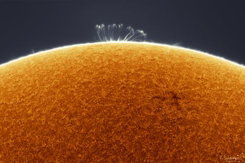 Coronal-Loop-Prominence-11-29-20.jpg