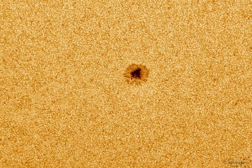 Sunspot-AR2783-09_14-11-22-20.jpg