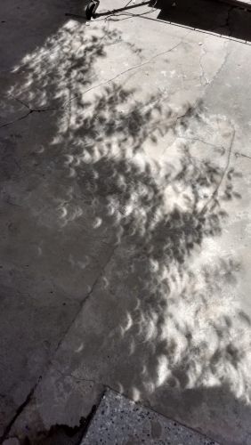eclipse1.thumb.jpeg.3256f13401d2c558d1a76a52fdc18eb5.jpeg