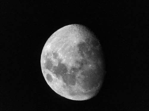 Luna 2.jpg