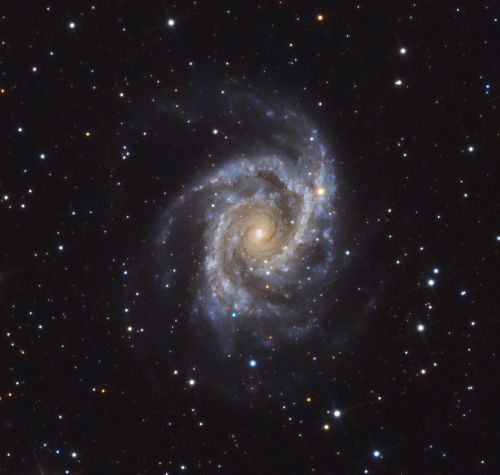 NGC 2997 recorte.jpg