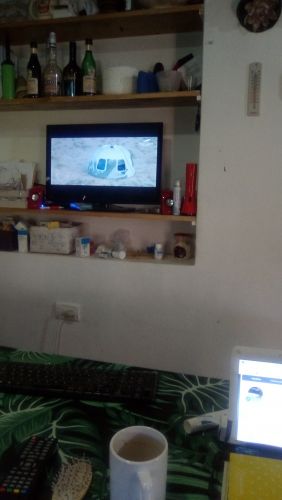IMG-20210720-WA0008.thumb.jpeg.7919ef8f22a3e57d059c8e2fb28867e2.jpeg