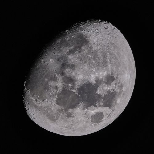 Luna_XT-2_CO 1.jpg