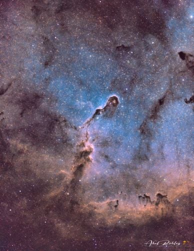 IC-1396 Elefant's  Trunk Nebula 3 (3).jpg