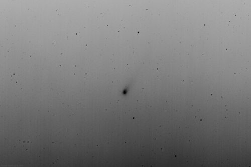 C-2021 A1 Leonard - 2021-12-18 21-15 UTC-3 - Negativo.jpg