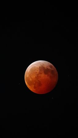 20250314_035825_044555.jpg