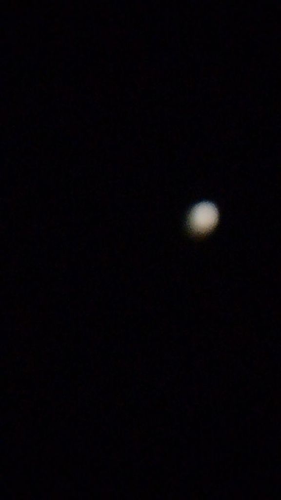 IMG_20250409_212242.jpg