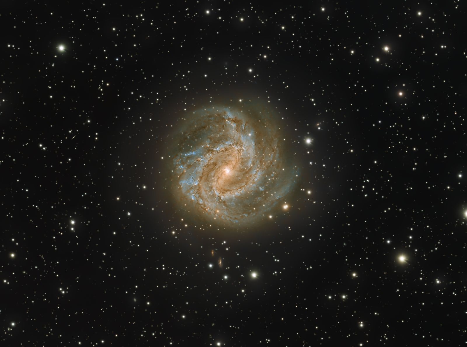 Galaxia M83 - Abbott Provincia de Buenos Aires