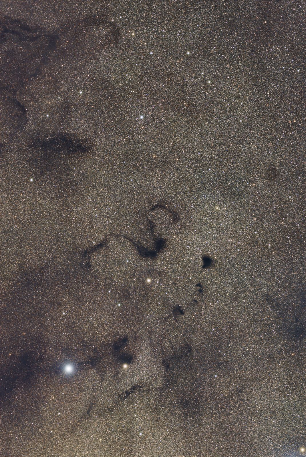 Barnard 72 / LDN66 - Nebulosa de la Serpiente.