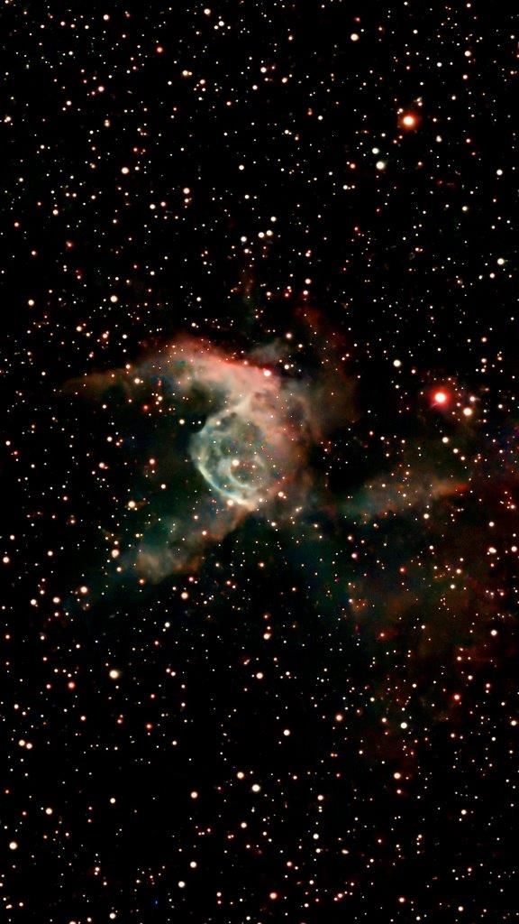 1767668715257(1).jpg