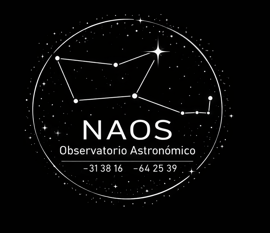 Logo NAOS 2.png