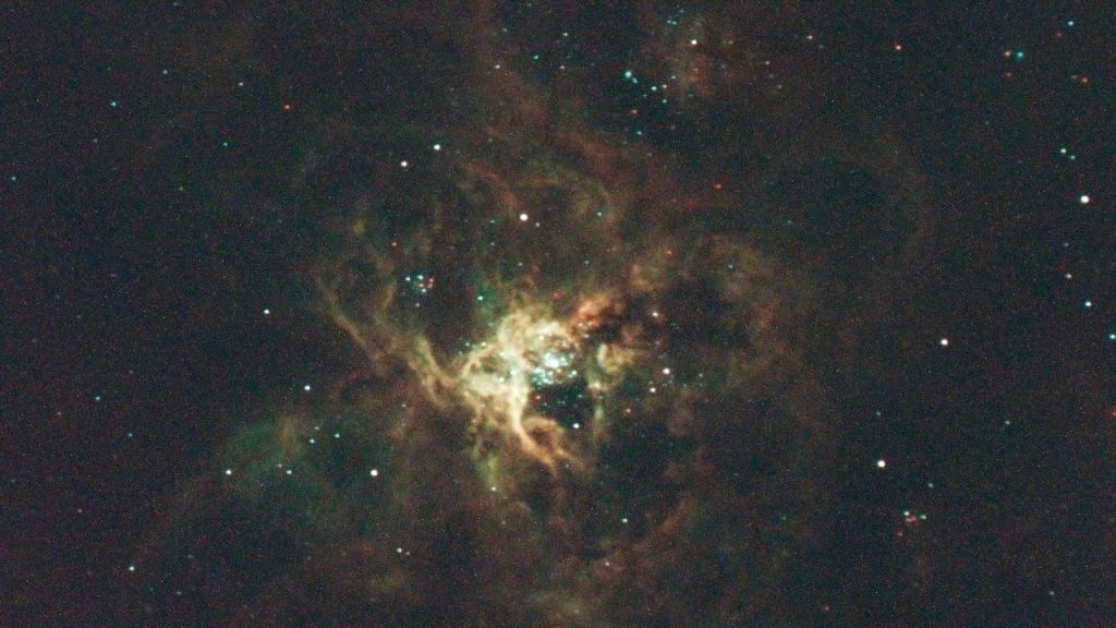 tarantula 2025-11 120seg 1 toma.jpg