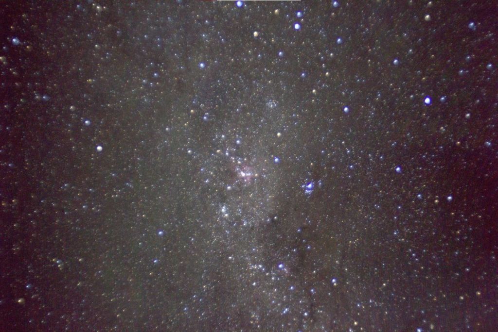 etacarinae EP 28 mm f4.jpg