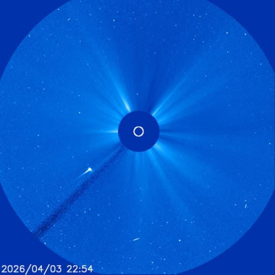 INMINENTE FIN DEL COMETA C/2026 A1 (MAPS)