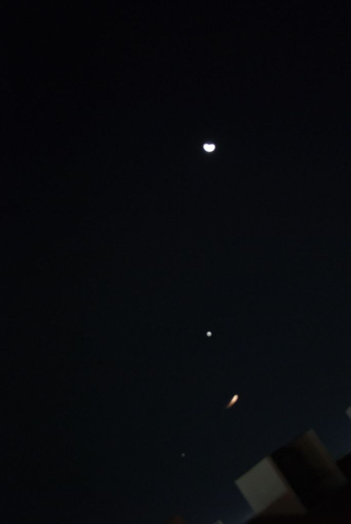 DSC_06466.jpg