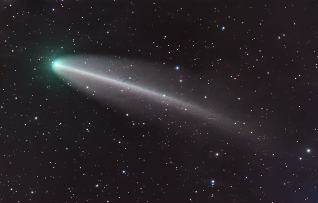 220-McNaught_FINAL.jpg