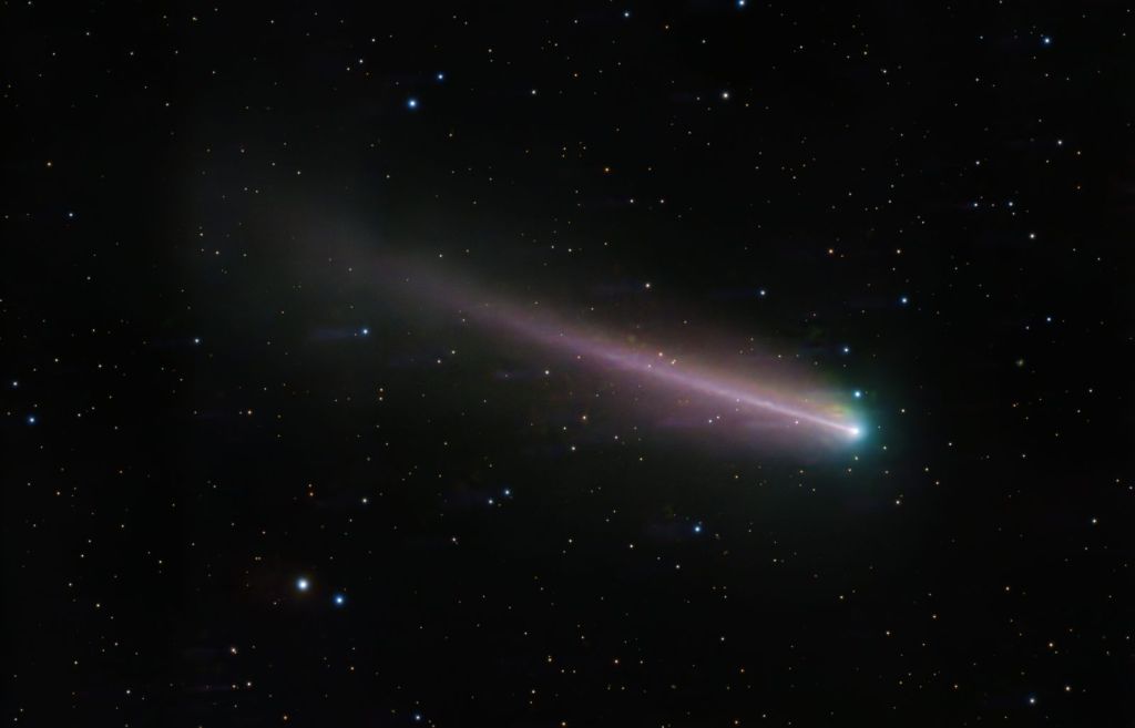 220P-McNaught_final.jpg