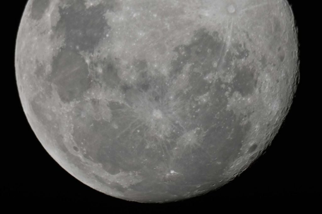 DSC_2863luna.jpg