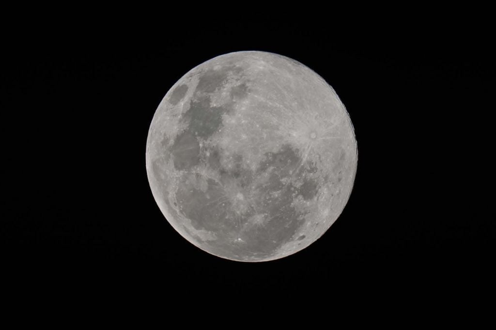 DSC_2922Luna2.jpg