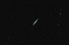 Galaxia del Escultor - NGC253