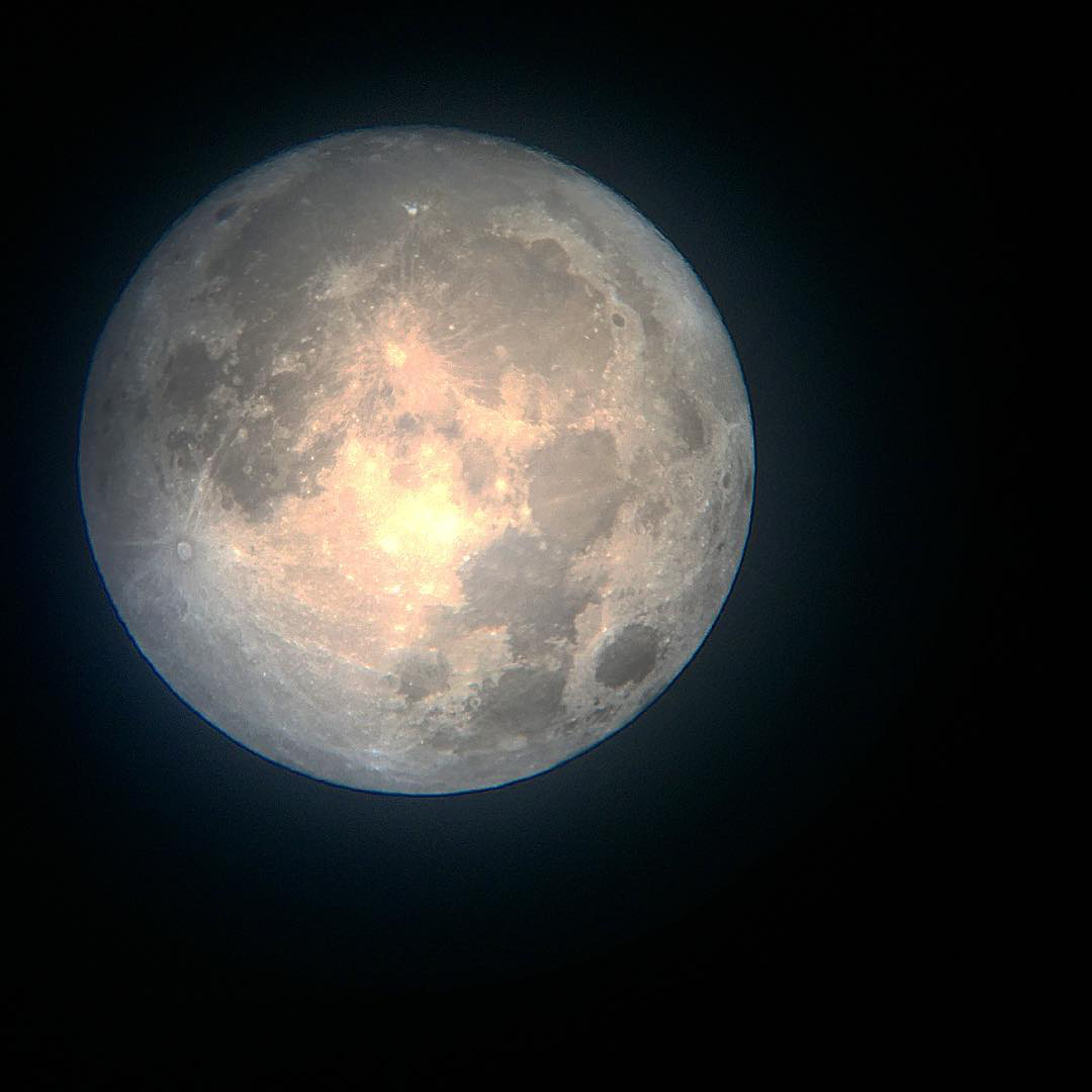 luna-1.jpg