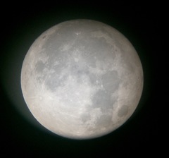 luna02.jpg