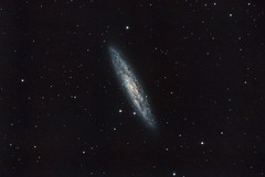 ngc253