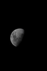 luna DSC03237.JPG