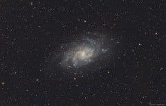 M33